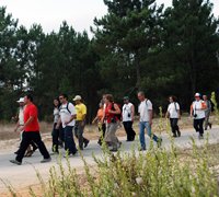 Autarquia promove passeio pedestre no Campo de Tiro de Alcochete