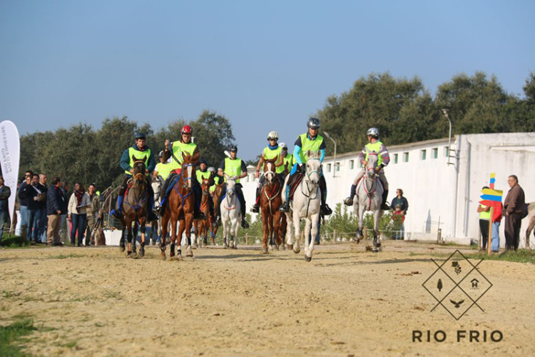 Rio Frio organiza primeiro campeonato europeu de endurance para jovens cavaleiros e juniores em P...