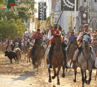 Festas do Barrete Verde e das Salinas espelham tradição em Alcochete