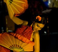 Música e danças ciganas prometem animar Fórum Cultural