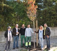 Autarquia replanta árvores no Dia Mundial da Árvore e da Floresta