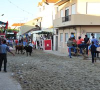 Festas Populares de Samouco decorrem de 11 a 15 de Julho