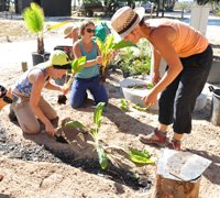 Jardineiros franceses criam “horta nómada” em Alcochete