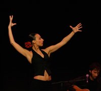 Dança flamenca desperta interesse do público