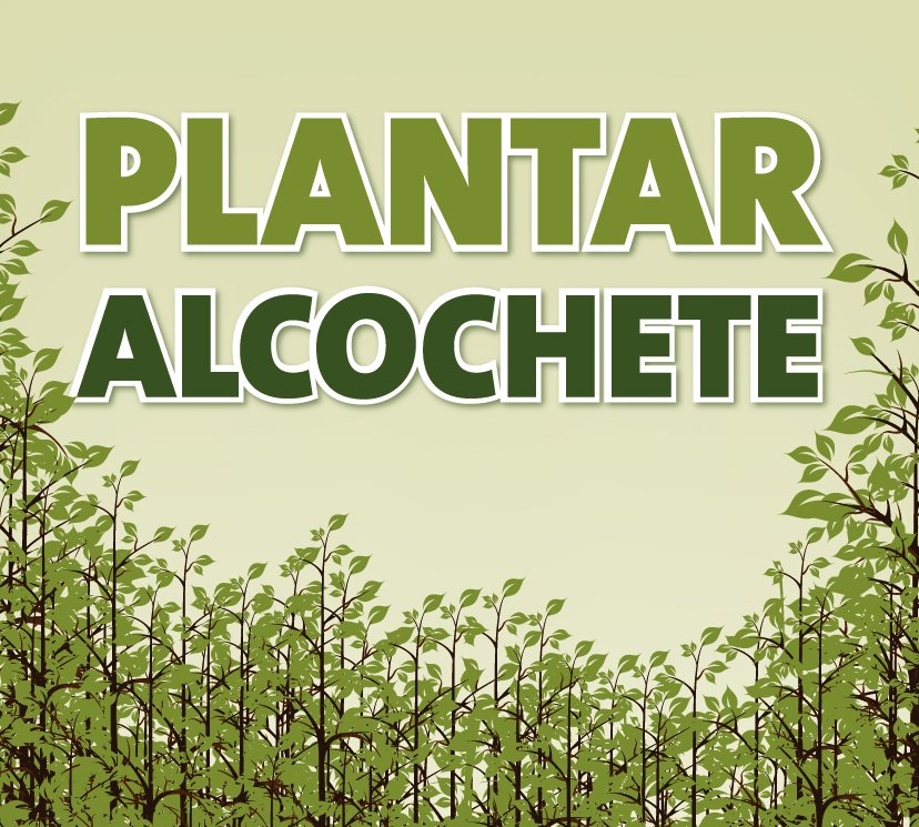 Autarquia promove plantação de árvores no Pinhal das Areias em Alcochete