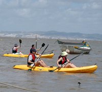 Autarquia promove passeio de canoagem entre Samouco e Alcochete