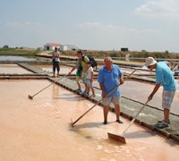 Fundação das Salinas do Samouco convida à rapação do sal