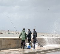 Associação de Pescadores organiza Concurso em Alcochete
