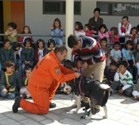 Crianças participam em acção com cães de busca e salvamento
