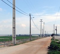 Candidatura para electrificação de Caminhos Agrícolas foi aprovada