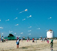 Festival de Papagaios das Escolas regressa à Praia dos Moinhos