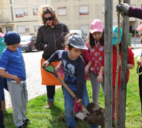 Autarquia sensibiliza crianças para a importância das árvores