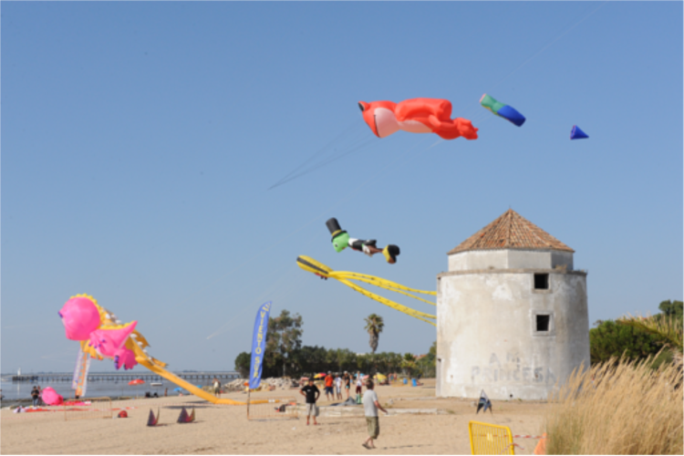 Festival de Papagaios atrai milhares de visitantes à Praia dos Moinhos