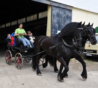 Associação Equestre de Alcochete realiza passeio equestre