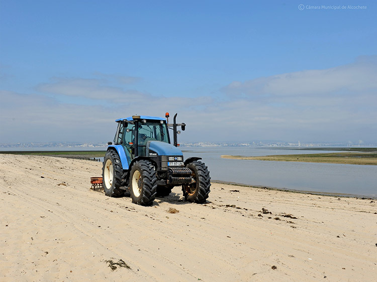 Autarquia empenhada na limpeza do areal das praias de Alcochete e Samouco