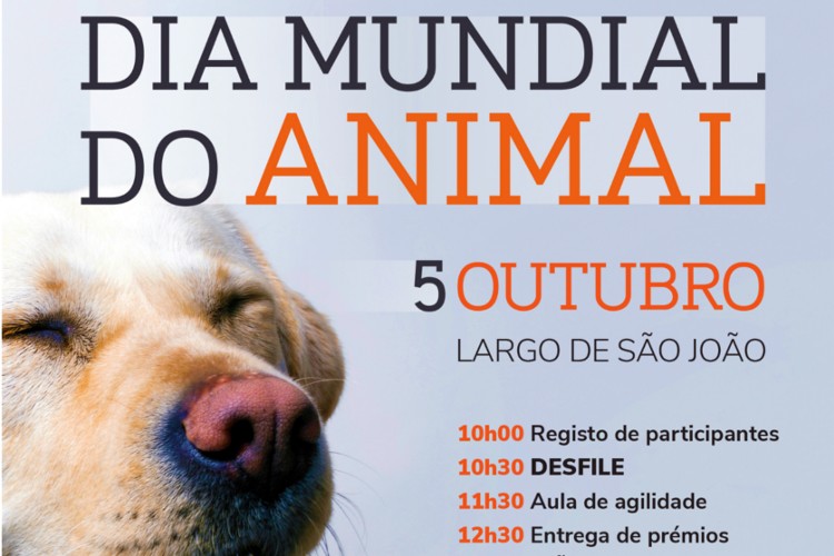 Município festeja Dia Mundial do Animal com desfile e caminhada