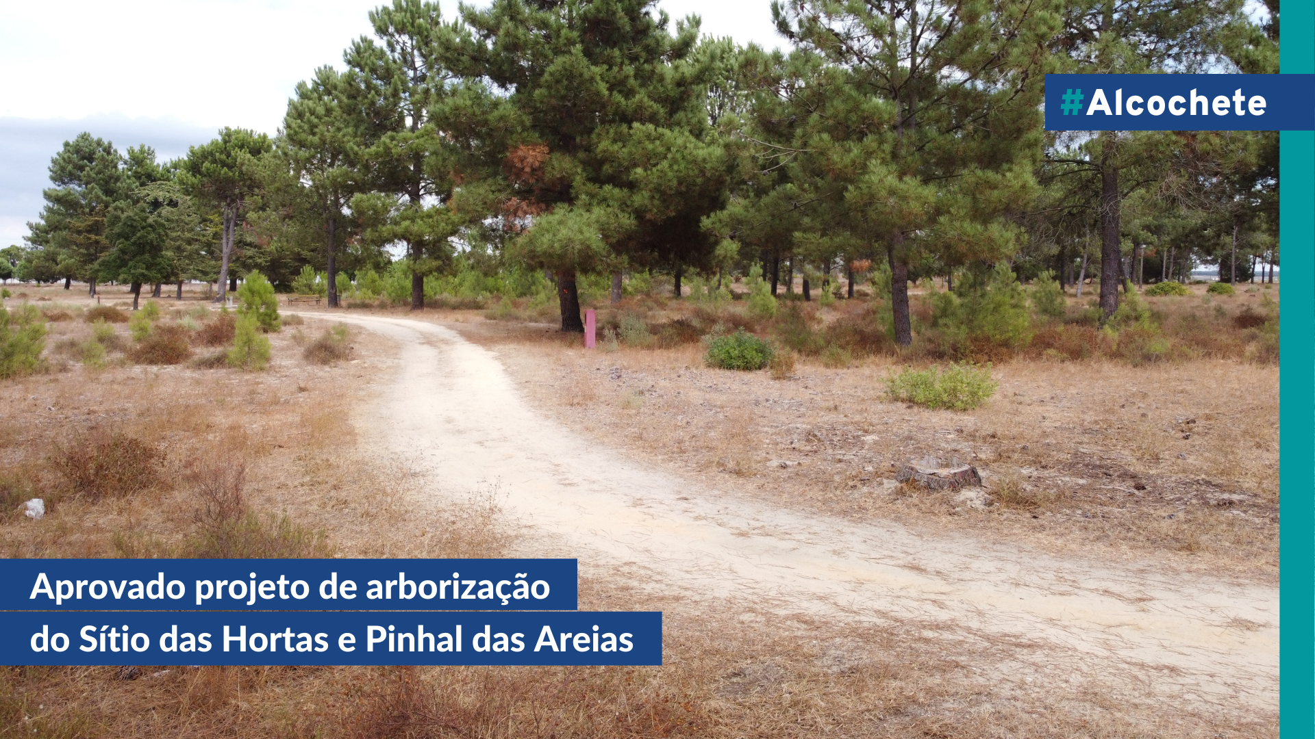 Aprovado projeto de arborização do Sítio das Hortas e Pinhal das Areias 
