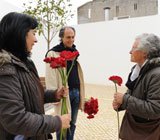 No Dia da Mulher foram oferecidas flores na vila de Alcochete